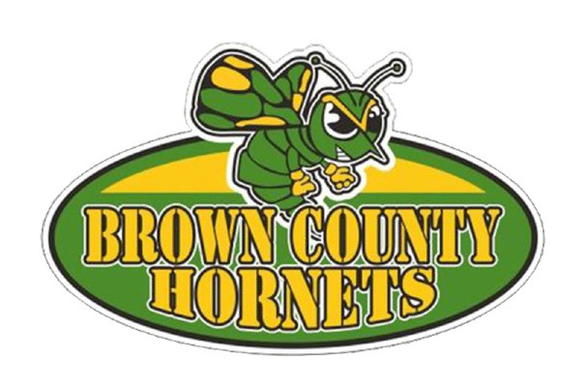 Brown County pitcher's bulldogged nature guides Hornets to