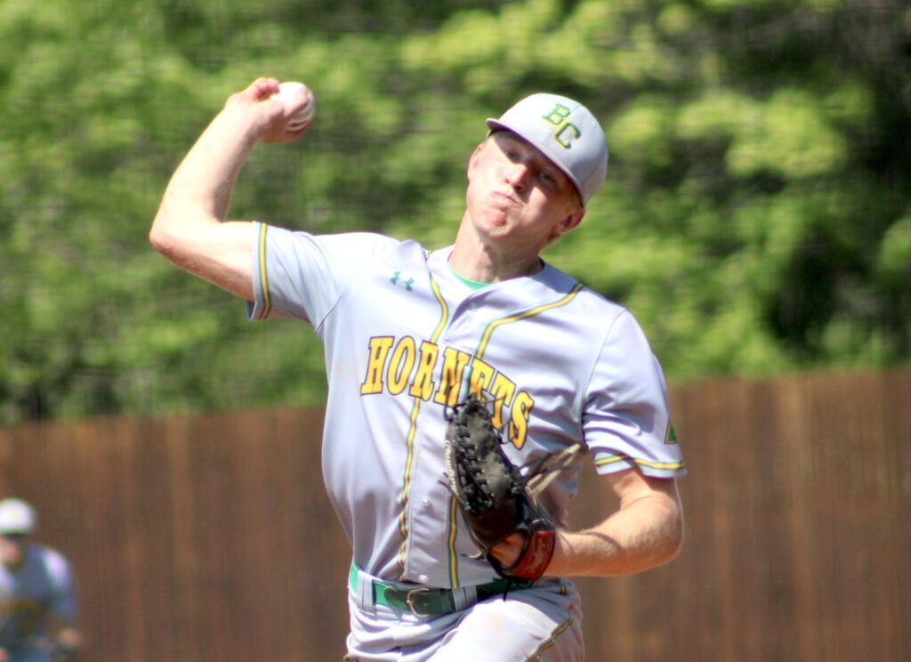 Brown County pitcher's bulldogged nature guides Hornets to