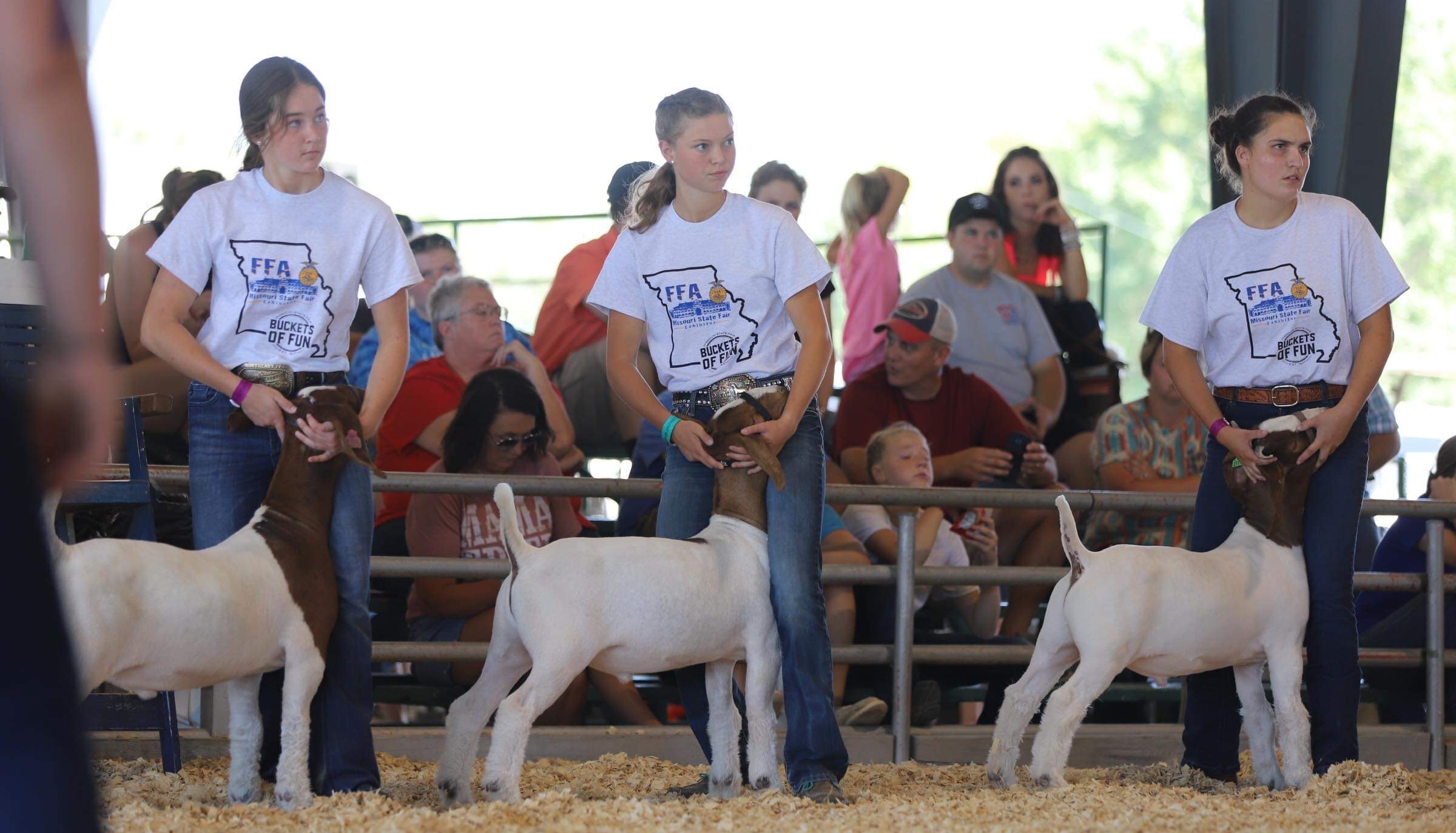 JWCC ShowMe Spotlight Goats and guarding made for quick summer for