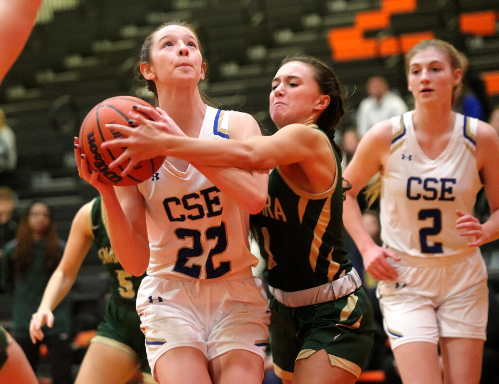December 27, 2022 - Normal, Illinois - Despite pressure from Bishop McNamara's Tessa DiPietra, Southeastern's Brilyn Lantz forces a shot in the paint during her team's game on Tuesday at the State Farm Holiday Classic. The Lady Panthers defeated the Fightin' Irish, 36-27. (Photo: PhotoNews Media/Clark Brooks)