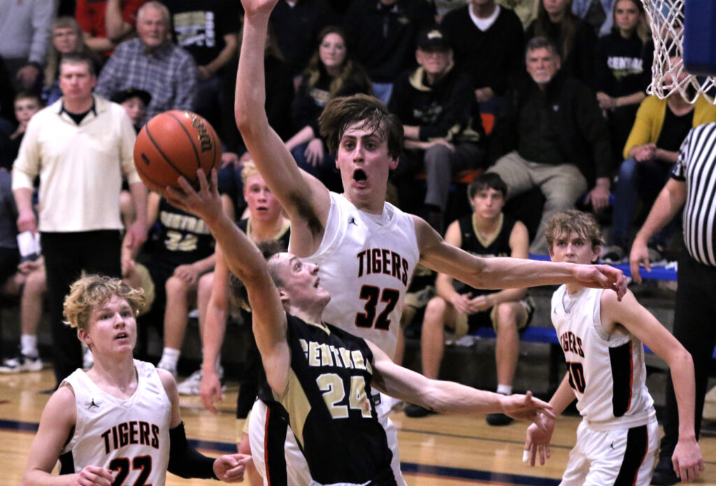 Tigers' length keeps Panthers at bay as historic season ends in sectional  championship game - Muddy River Sports