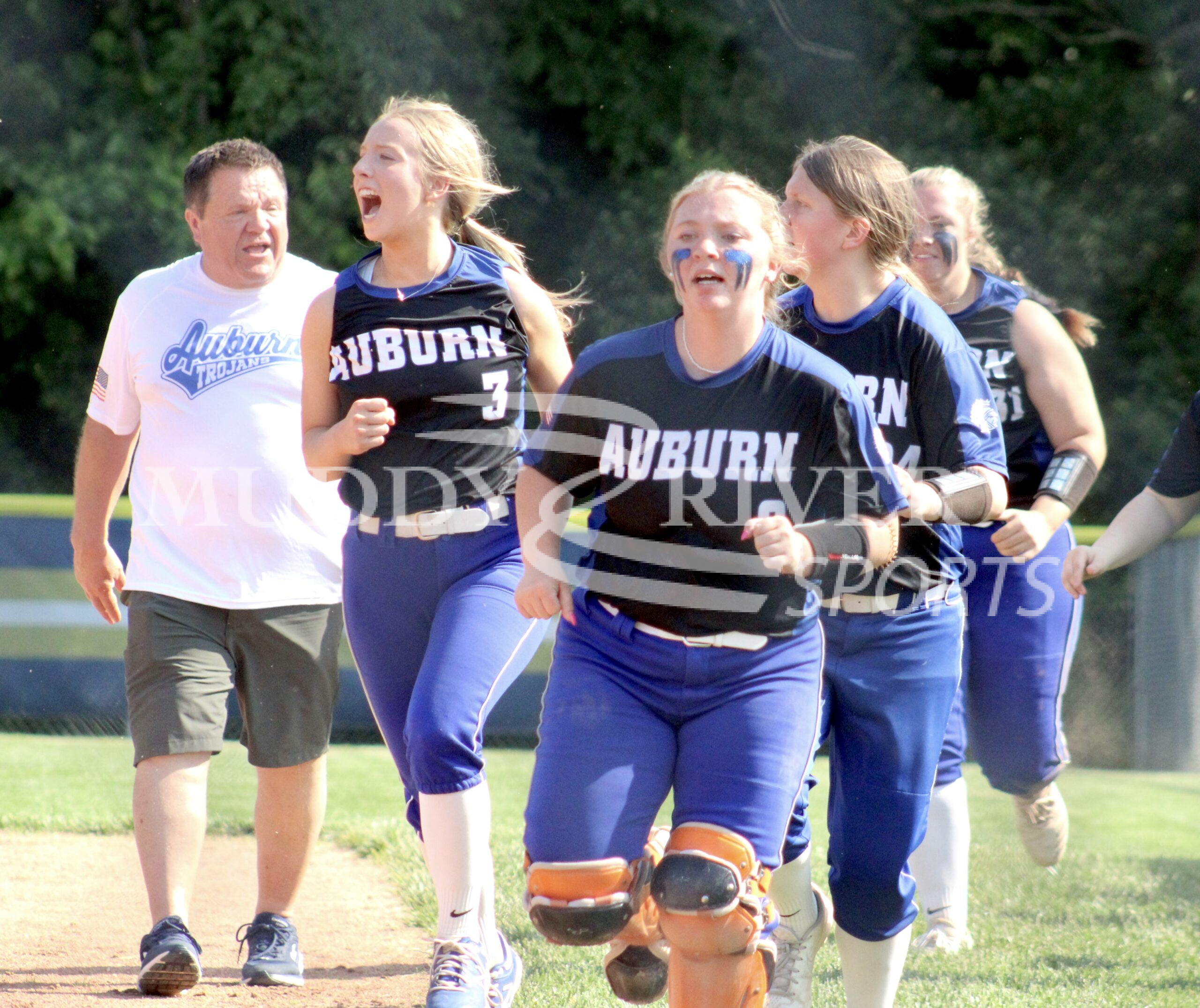 IHSA softball roundup: Auburn, Havana fall in sectional finals