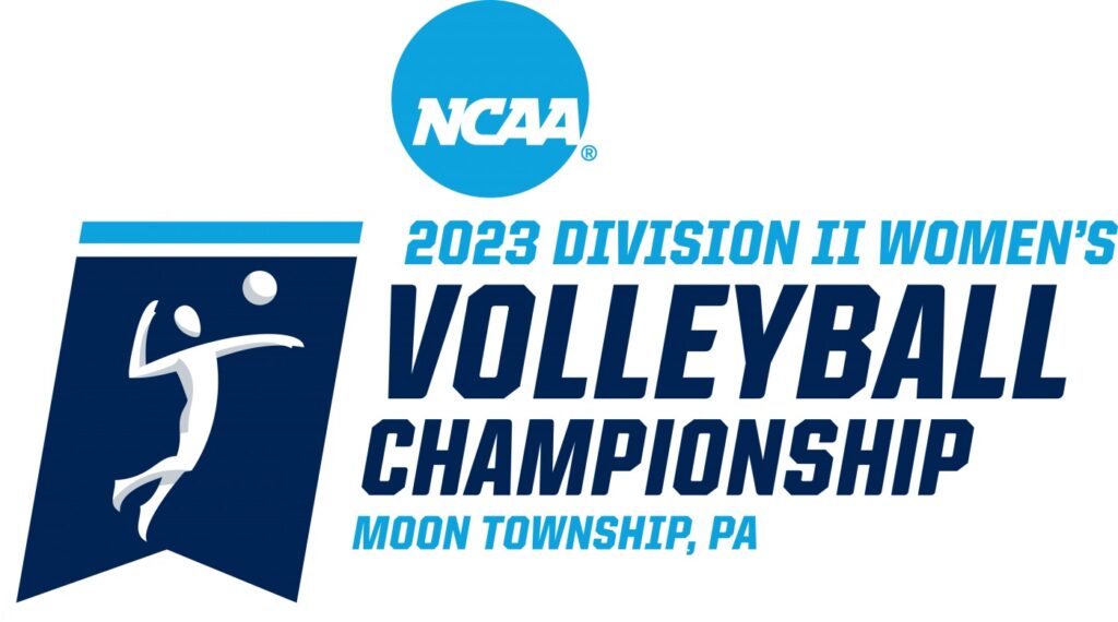 DII volleyball