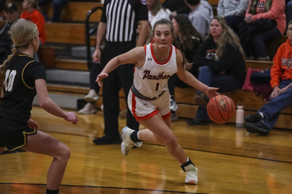 Palmyra’s Alaina Loman (1) handles the ball during the Panthers opening round of the Tony Lenzini basketball Tournament against the Van-Far Indians, Monday in Palmyra.  Mathew Kirby (Herald WhigCourier Post)